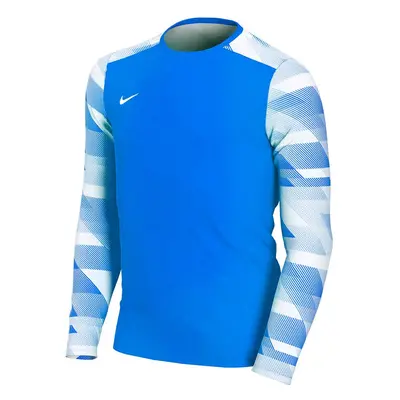 Nike Dry Park IV JSY LS GK JUNIOR Goalkeeper Sweatshirt Blue CJ6072 L