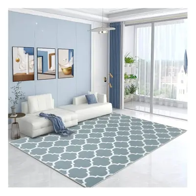 (80 x cm (2 ft in x ft in)_Long Runner Rug Hallway Carpet, Ava) Extra Large Rugs Living Room Pri