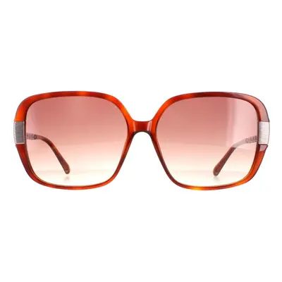 Ted Baker Sunglasses TB1616 Indi Tortoise Brown Brown Gradient