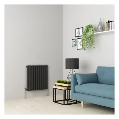 (600 x 768mm Single, Anthracite) Oval Tube Designer Radiator