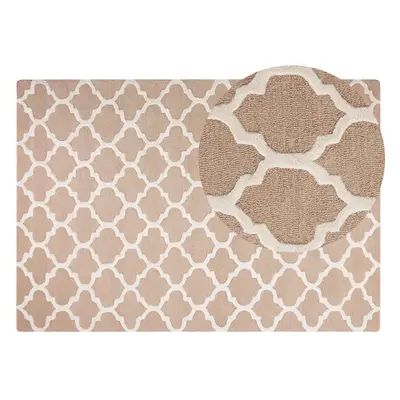 Wool Area Rug x cm Beige ERBAA