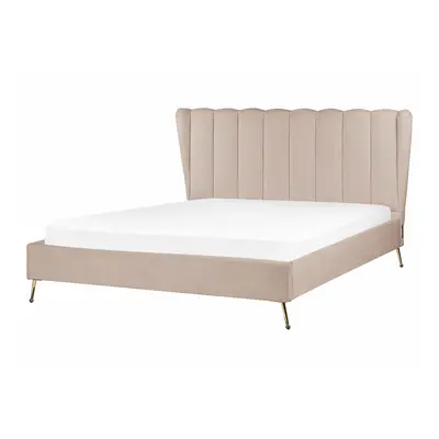 Bed MIRIBEL x cm (EU King Size) Velvet Taupe