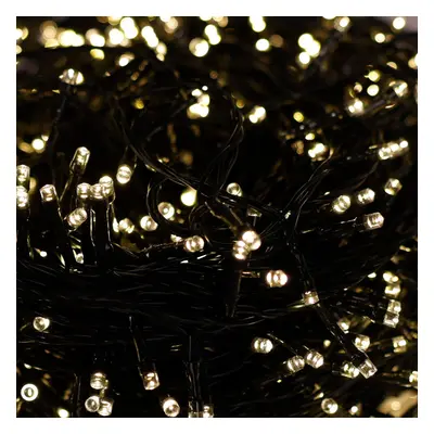 Charles Bentley LED Warm White String Light Flashing Modes Waterproof Dark Green Low Voltage Inp