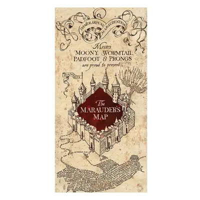 Harry Potter Marauders Map Canvas Print