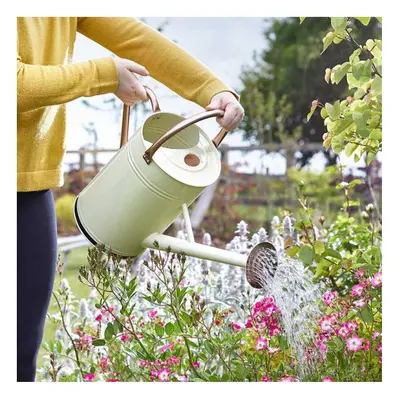 CREAM Steel Garden 9L Watering Can With Watering Rose and handle , Plant Care