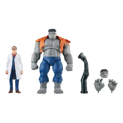 Hasbro Legends Series Gray Hulk and Dr. Bruce Banner, Avengers 60th Anniversary Collectible Inch