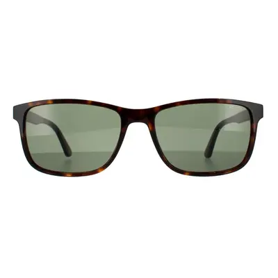 Police Sunglasses SPL998 Origins Lite 0722 Shiny Dark Havana Green