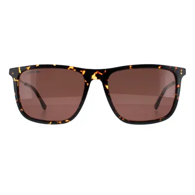 Lacoste Sunglasses L945S Havana Brown