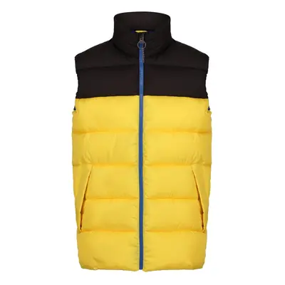 (L, Solar/Black) Regatta Mens Vintage Colour Block Gilet