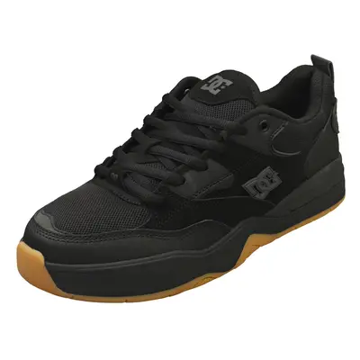 (10) DC Shoes Ascend Mens Skate Trainers in Black Gum