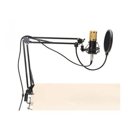 Professional Condenser Microphone Sound Audio Studio Recording Microphone System Kit Brocasting 