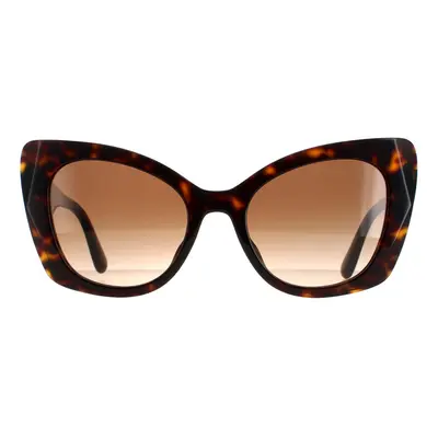 Dolce & Gabbana Sunglasses DG4405F 502/13 Dark Havana Brown Gradient