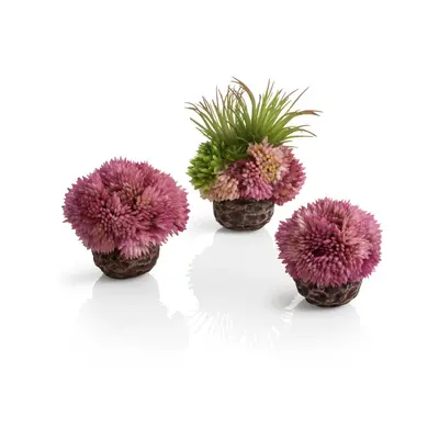 (Purple) Oase biOrb Aquarium Decorative Coral Ball Set