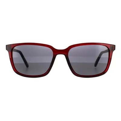 Ted Baker Sunglasses Farley TB1529 Burgundy Green