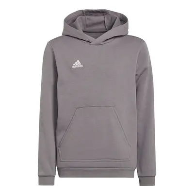 Sweatshirt for kids adidas Entrada Hoody gray H57515 152cm