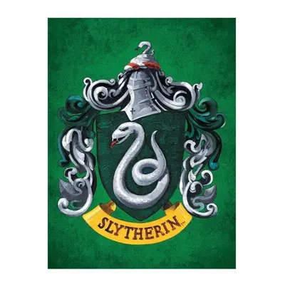 Harry Potter Slytherin Canvas Print