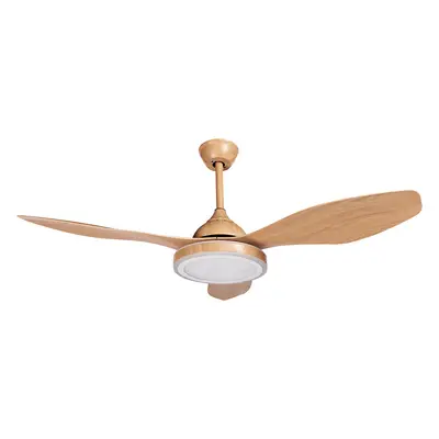 Ceiling Fan with Light MUDDY With Remote Light Brown