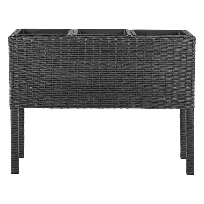 Elevated Plant Pot CARAGANA PE Rattan cm Black