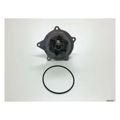 Water Pump for Chrysler Voyager / Grand Voyager 3.3L 3.8L CWP/GS/002A