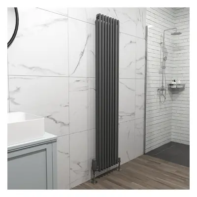 Nes Home X mm Double Column Matte Black Radiator