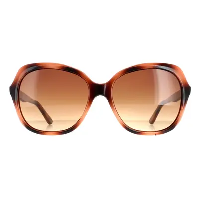 Ted Baker Sunglasses TB1645 Kim Havana Brown