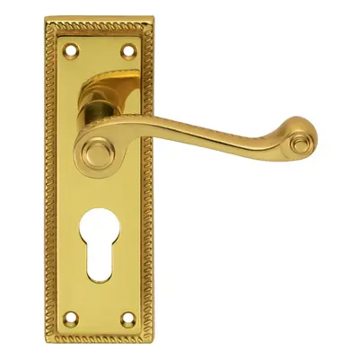 PAIR Reeded Design Scroll Lever on Euro Lock Backplate x 48mm Polished Brass