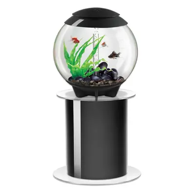 biOrb Halo 60L Aquarium in Grey with MCR LED Lighting with Stand