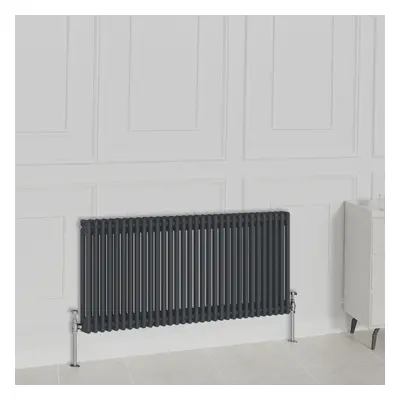 (600x1460mm-2 Column, Anthracite) NRG Traditional Radiator Horizontal Vertical Cast Iron Style D