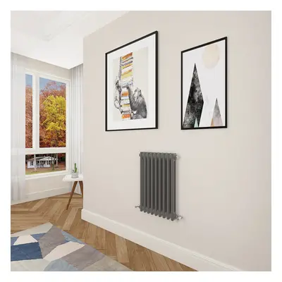 (600x425mm Column) Designer cast iron radiator anthracite all sizes