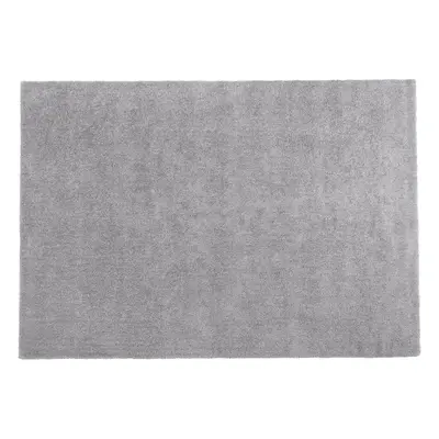 Shaggy Area Rug x cm Light Grey DEMRE