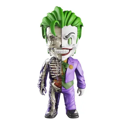 4D XXRAY Master Large Joker Mighty Jaxx Jason Freeny Anatomical model kits DIY Self-assembled To