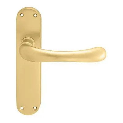 PAIR Smooth Rounded Handle on Shaped Latch Backplate x 42mm Satin Brass