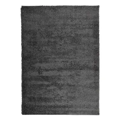 (anthracite, x cm) vidaXL Shaggy Rug Floor Mat Fluffy Rug Area Rug PAMPLONA High Pile Modern