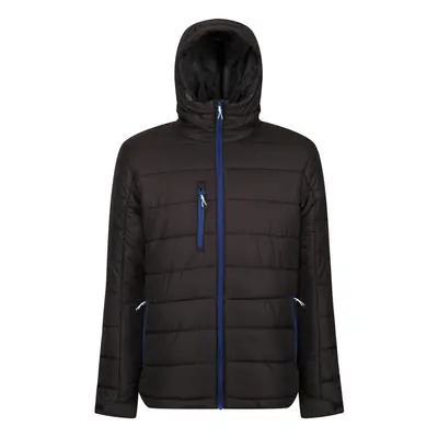 (L, Black/New Royal) Regatta Mens Navigate Thermal Padded Jacket