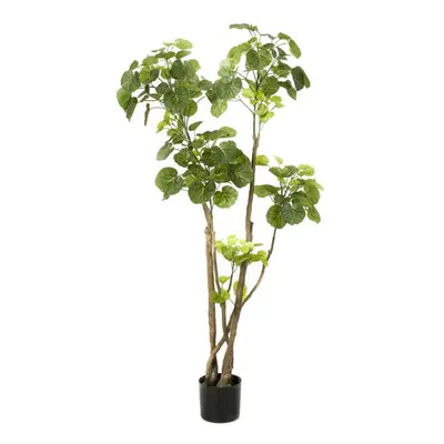 Emerald Artificial Polyscias Tree cm