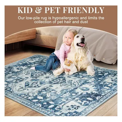 (160 x cm (5 ft in x ft in)- Large Rugs/Carpets, Tranquil) Extra Large Traditional Rugs Modern C