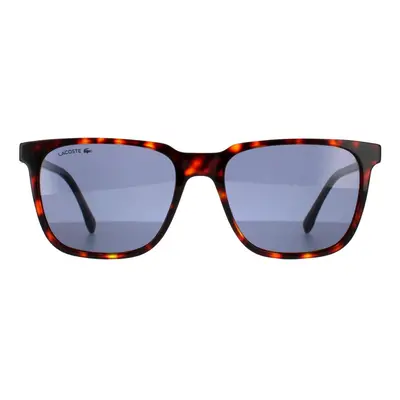 Lacoste Sunglasses L910S Havana Red Solid Blue