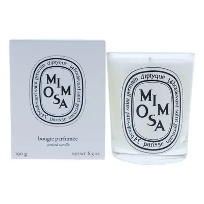 Diptyque - Mimosa Scented Candle