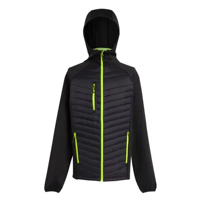 (XL, Black/Lime Green) Regatta Mens Navigate Quilted Hybrid Jacket