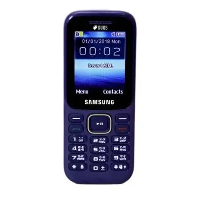 Samsung Guru Music (SM-B315E, White)