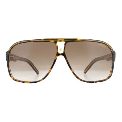 Carrera Sunglasses Grand Prix 086 HA Havana Brown Gradient