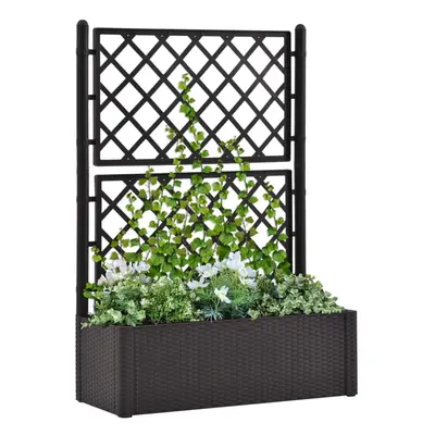 vidaXL Garden Raised Bed with Trellis and Self Watering System Anthracite