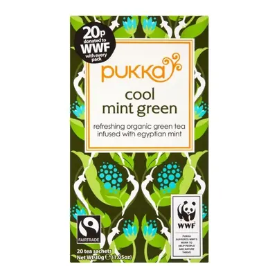 Pukka Organic Fairtrade Mint Green Tea (20) - Pack of