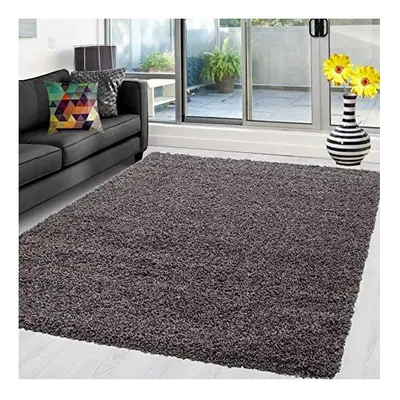 (Taupe, x cm (4 ft x ft in)) X Large Small Soft Shaggy Rugs Modern Non Slip Rug