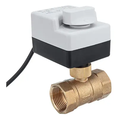 (1-1/4 Inch) AC 220V 1/2" 3/4" 1" 1-1/4" Motorized Electric Brass Ball Valves Way Wires Full Por