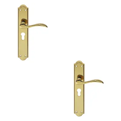 2x PAIR Curved Handle on Long Euro Lock Backplate x 45mm Stainless Brass