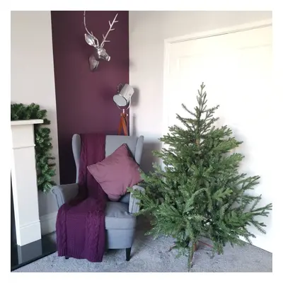 5FT 153cm Christmas Glenshee Spruce Pe/Pvc Natural Look