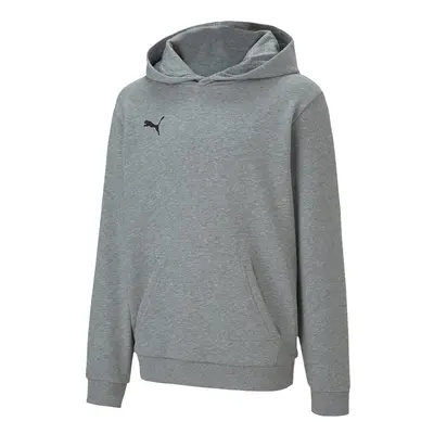 Puma teamGOAL Casuals Hoody Jr Medi gray 33