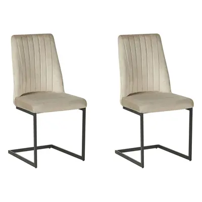 Set of Dining Chairs LAVONIA Velvet Taupe