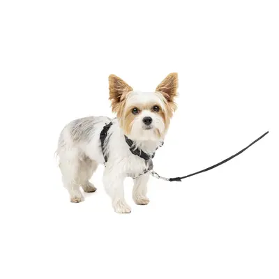 3 in No-Pull Dog Harness For Small Dogs - Walk, Train or Travel - Helps Pets from Pulling on Wal